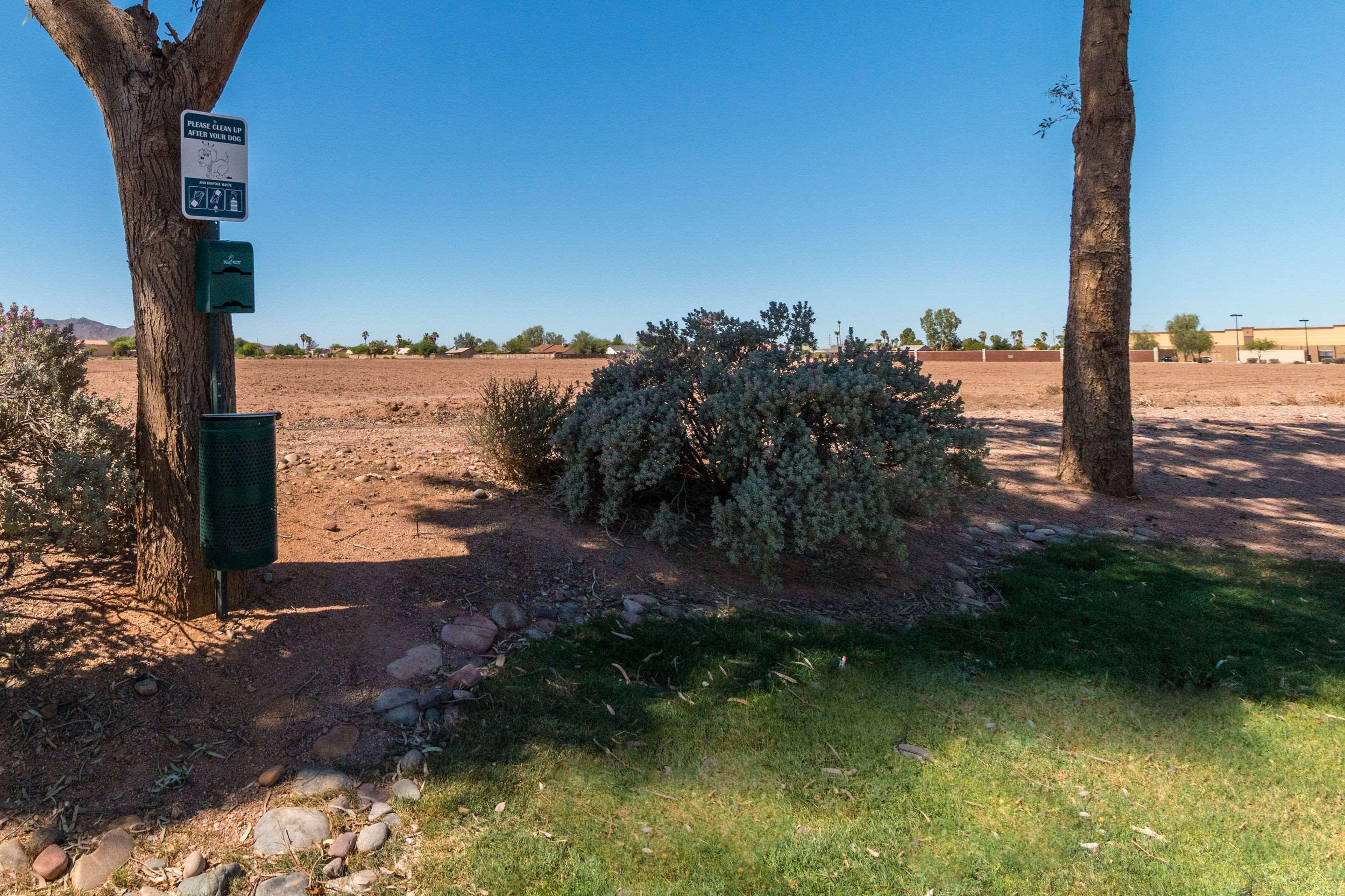Quality Inn Casa Grande I-10 Dış mekan fotoğraf